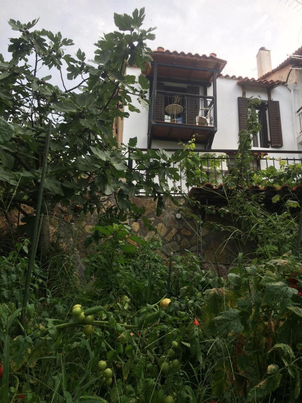 Gourgiana Apartments Andritsena Exterior foto
